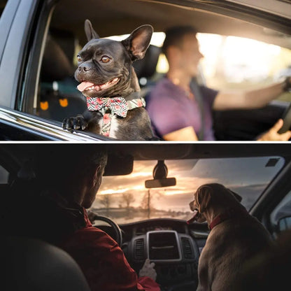 Waterproof Dog Car Seat Cover – Non-Slip Protection