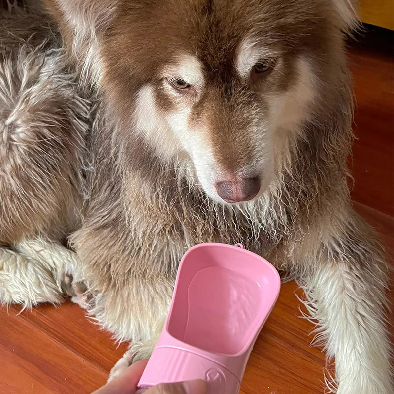 2-in-1 Dog Water Bottle™ 🐶 | Portable Travel Feeder