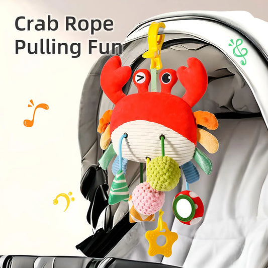 Baby Sensory Hanging Toy