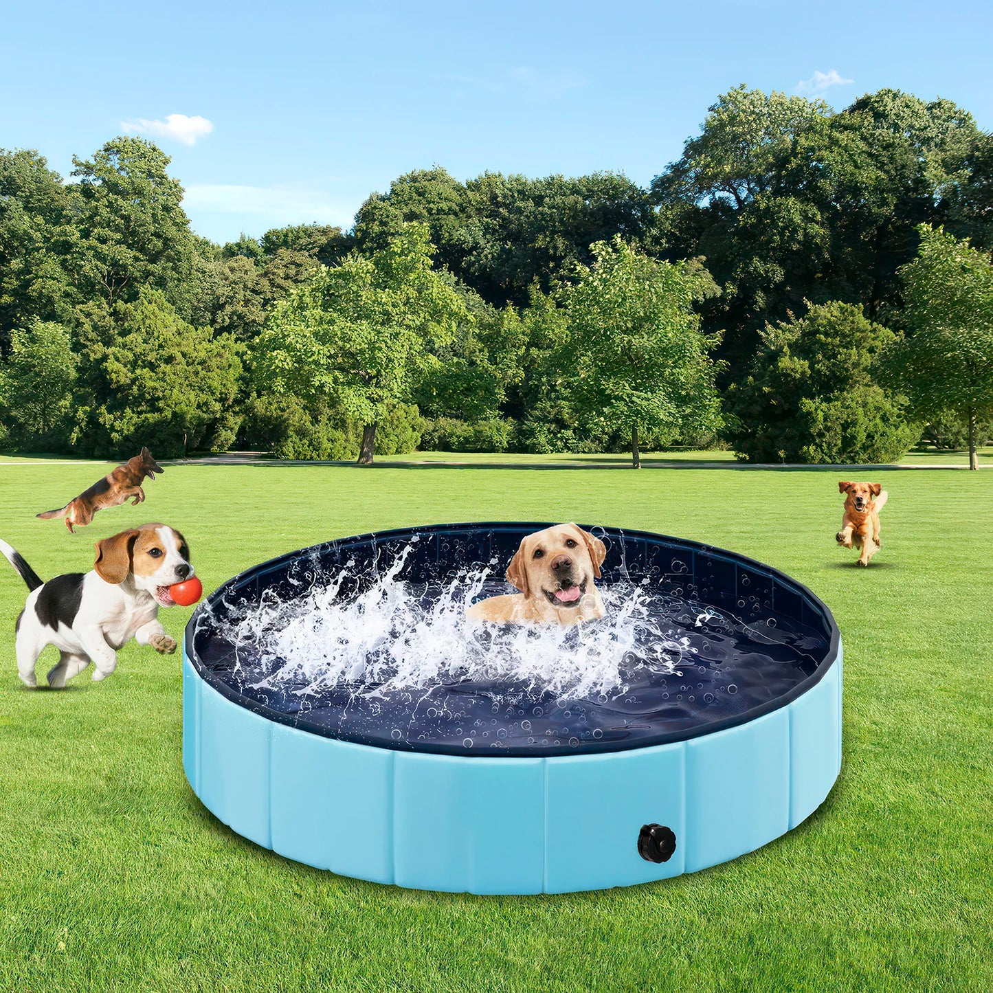 Portable Dog Pool™ 🐶 | Foldable Pet Bath Tub