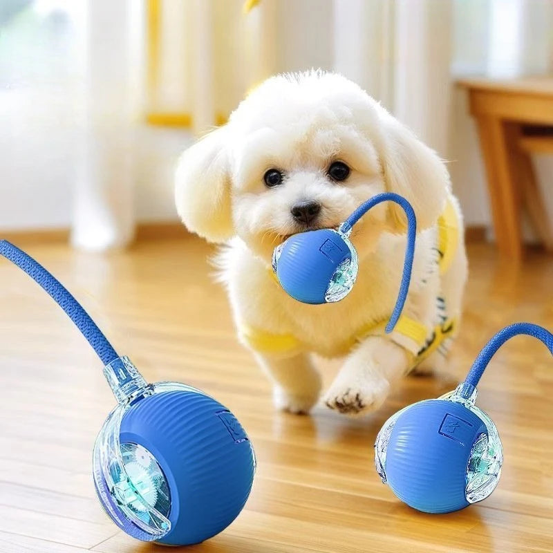 Interactive Electric Cat Toy Ball – Smart Rolling Ball for Kittens & Cats